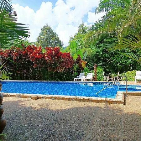 Hotel Khaosok And Spa Khao Sok National Park Екстер'єр фото
