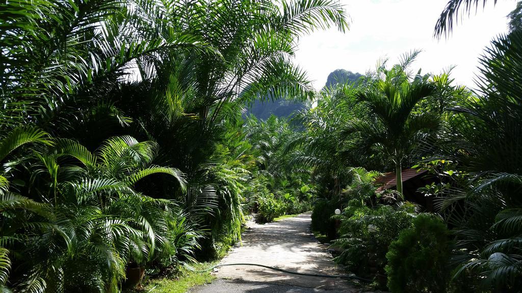 Hotel Khaosok And Spa Khao Sok National Park Екстер'єр фото