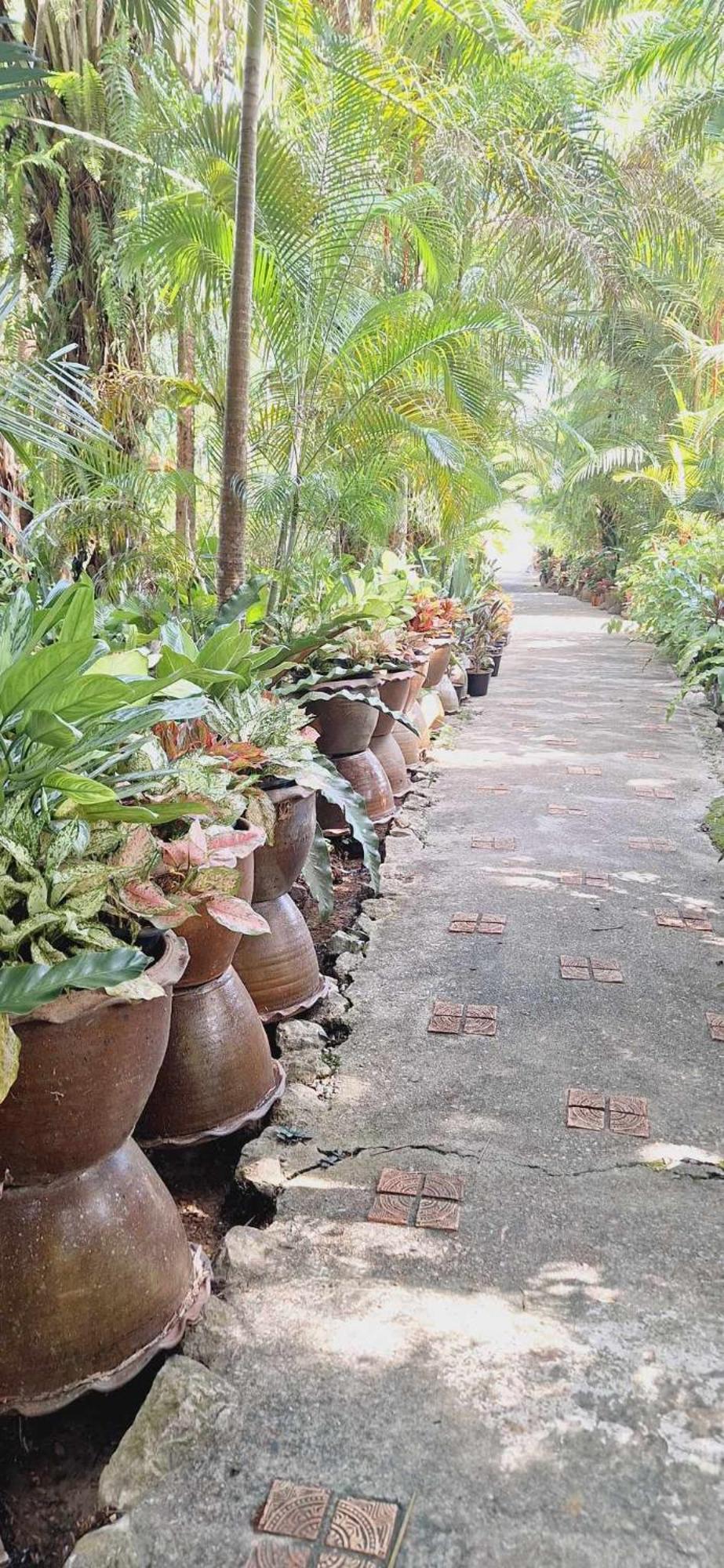 Hotel Khaosok And Spa Khao Sok National Park Екстер'єр фото