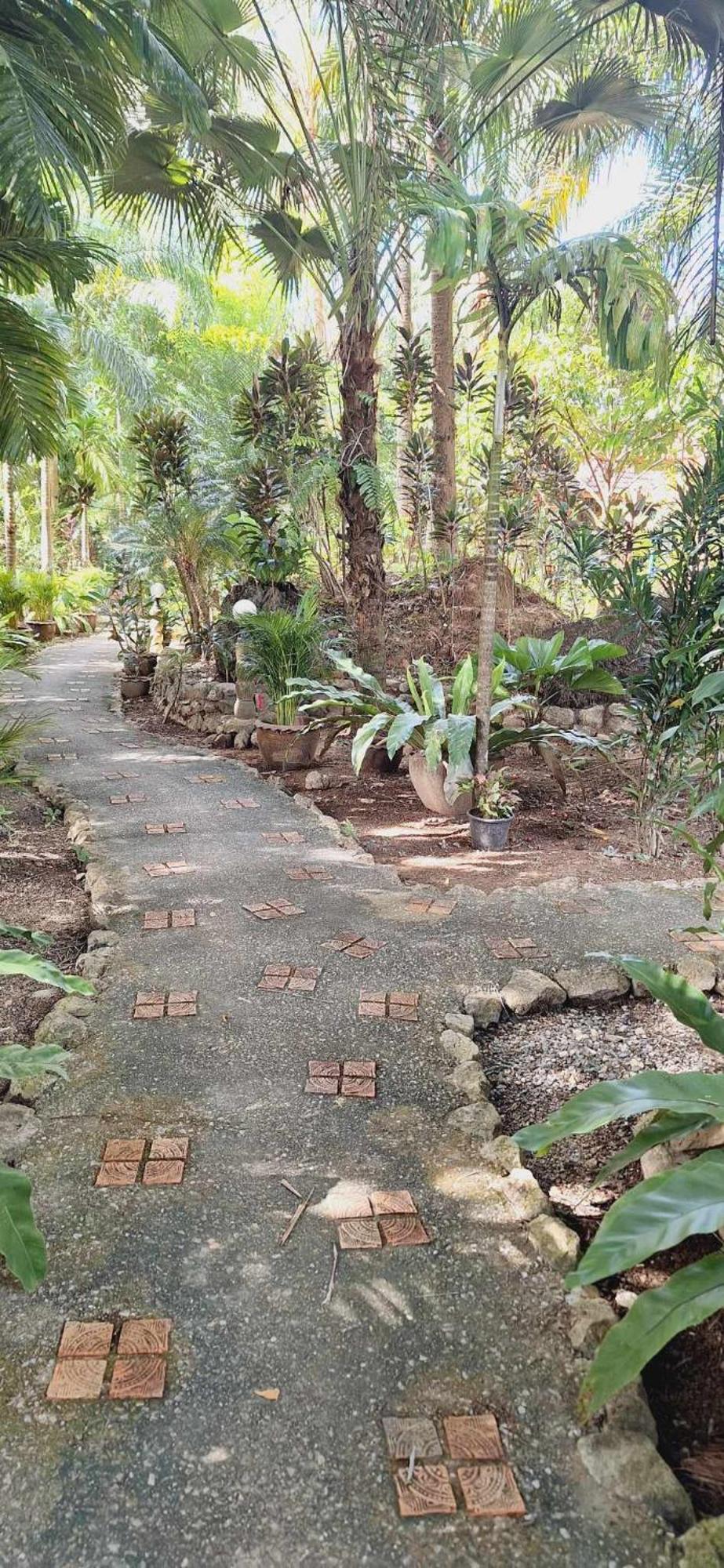 Hotel Khaosok And Spa Khao Sok National Park Екстер'єр фото