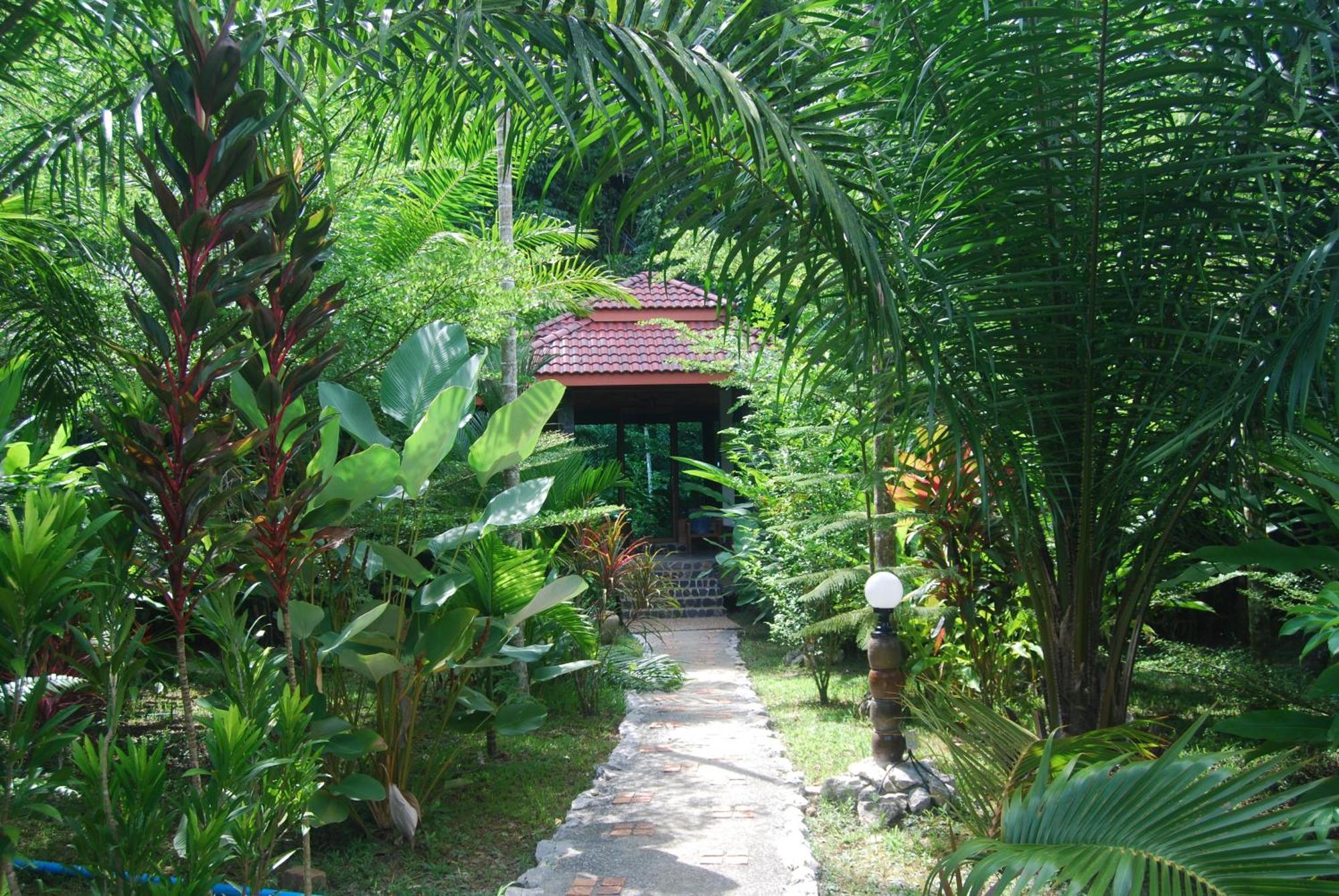 Hotel Khaosok And Spa Khao Sok National Park Екстер'єр фото